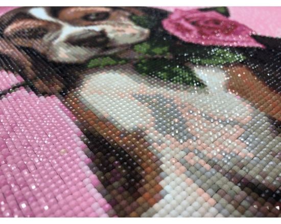 diamond-painting-ukazka-sady-4
